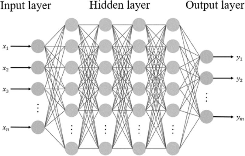 Deep Neural Network